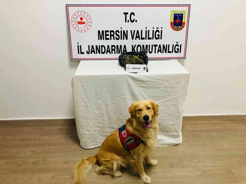 Mersin’de 1 kilo 173 gram esrar ele geçirildi

