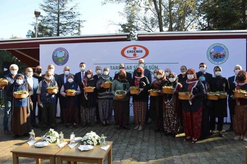 Osmanlı Çileği fideleri üreticilerle buluştu, coğrafi işaret aldı
