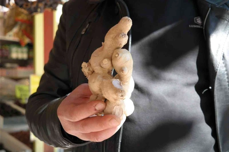 Mevsim geçişlerinin vazgeçilmez ürünü: Zencefil
