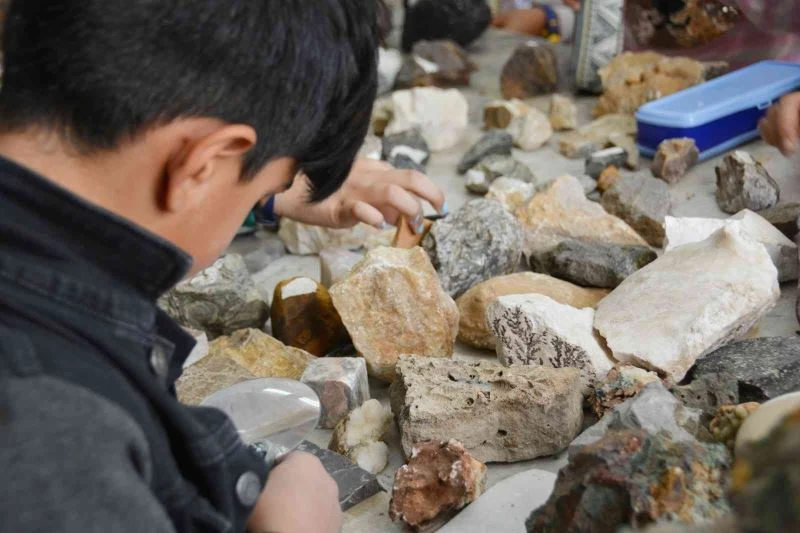 Mineraller, kayaçlar, ve fosillerin gizemi
