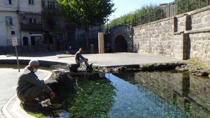 Havanın soğumasıyla Anzele suyunda çocukların yerini balıklar aldı

