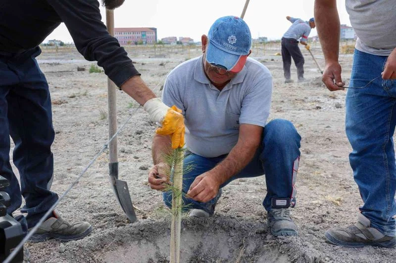 Meram’da her doğan bebeğin bir dikili fidanı var
