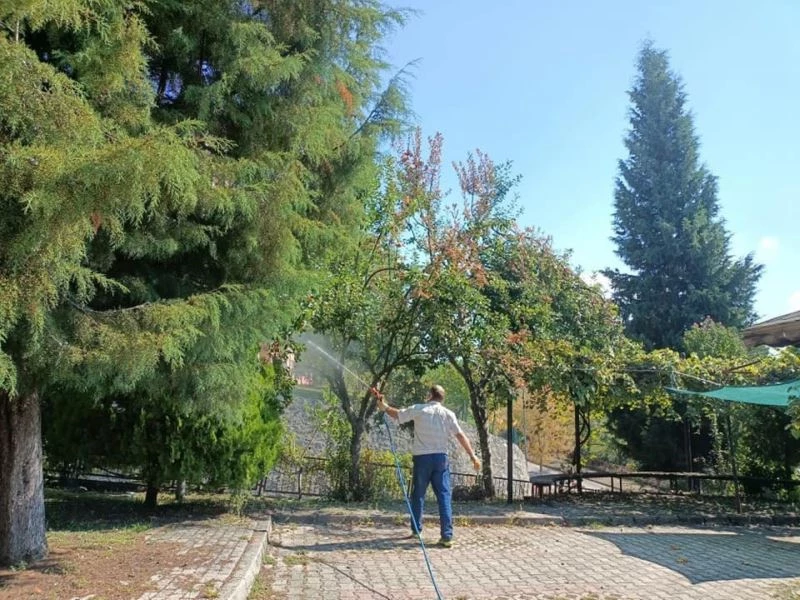 Amerikan Beyaz Kelebeği ile mücadele devam ediyor
