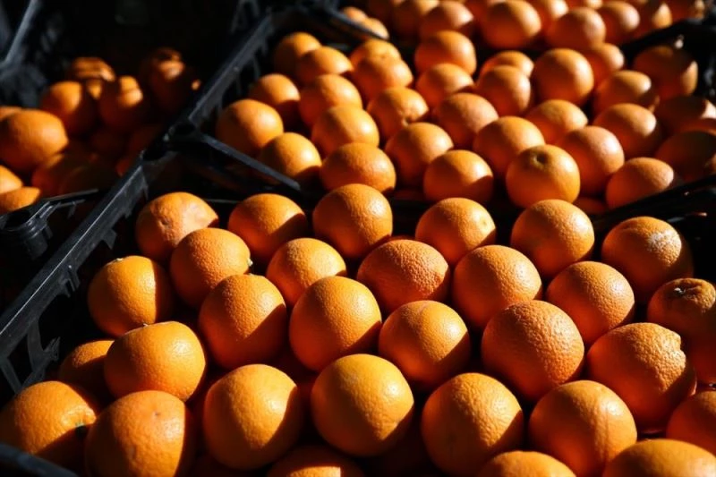 GRAFİKLİ - Türkiye