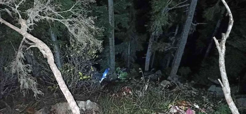 Odun keserken uçuruma düşen kişi kurtarıldı
