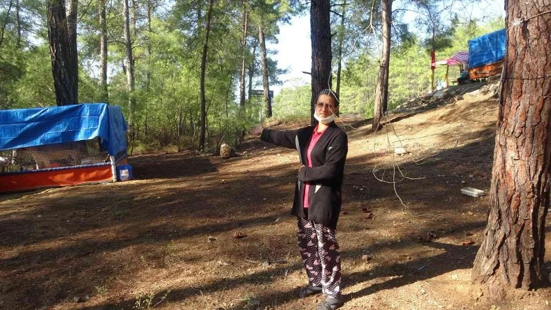 Karşılıklı husumet aileleri dağıttı
