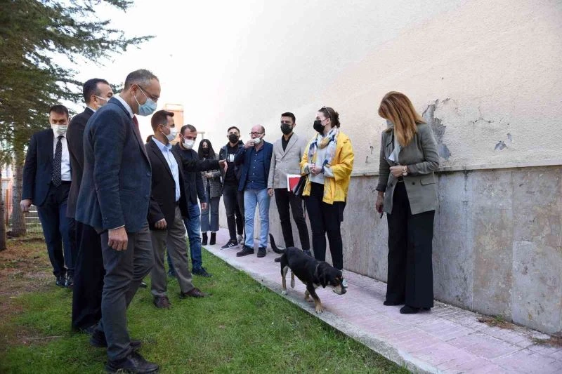 Hitit Üniversite’sinde ’Köpek Evi’ projesi hayata geçirildi
