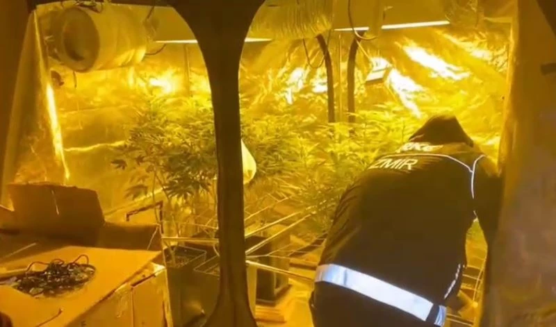 Eve zehir serası kuran şüpheliler yakalandı
