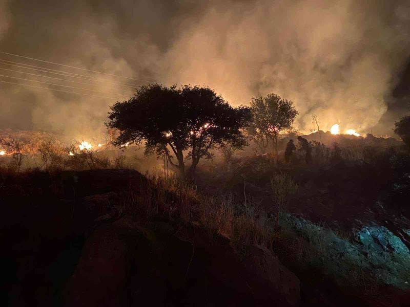Bodrum’daki yangında 10 dönüm makilik alan zarar gördü
