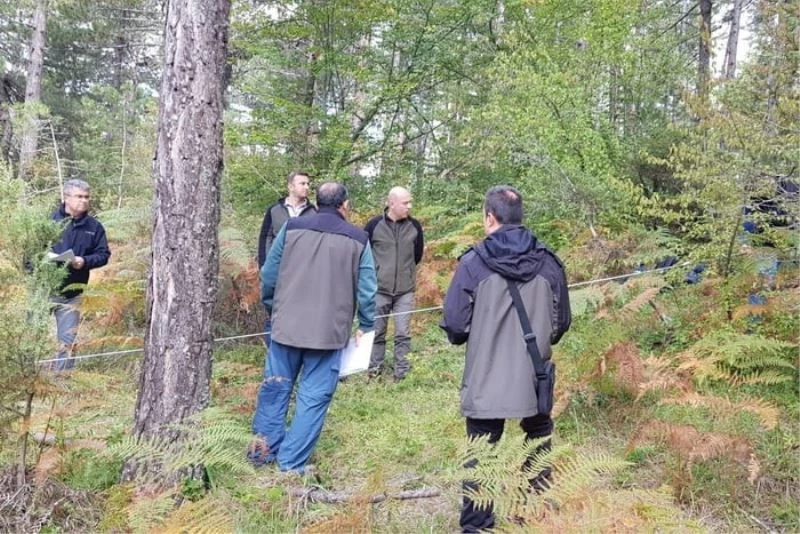 Ulusal orman envanteri çalışmaları devam ediyor
