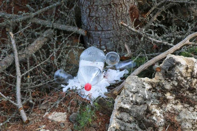 4 hektarlık alanın kül olduğu ormanda pet, cam şişe ve poşet atıkları
