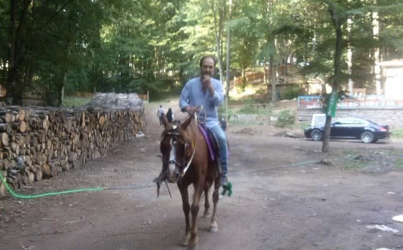 Köpekleriyle tırmanışa geçti, köpekleri geldi, kendisi dönmedi
