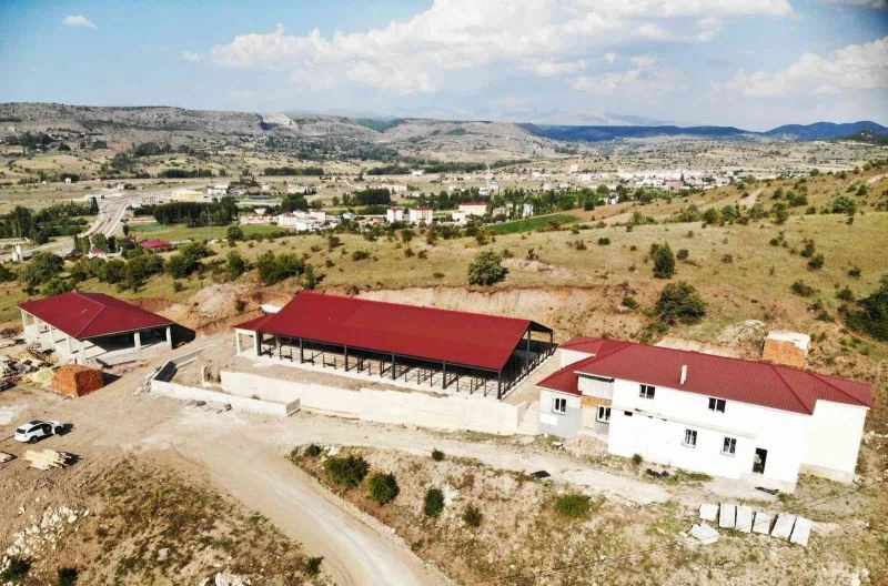 Alucra modern hayvan pazarına kavuşuyor
