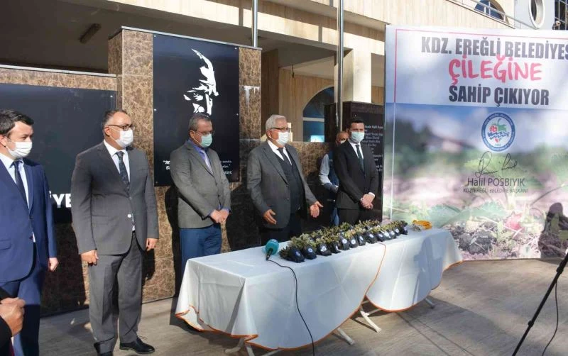 Belediye halka Osmanlı Çileği fidesi dağıtacak
