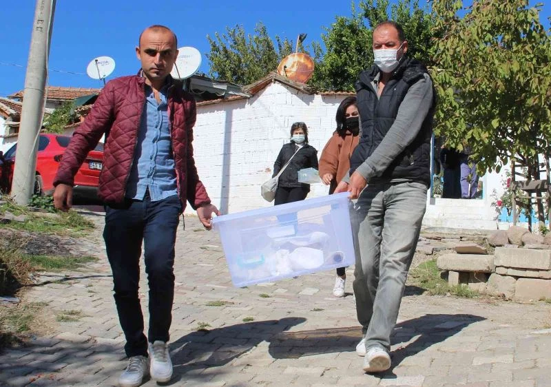 Küçük kızın bulduğu fosil müze tarafından alındı
