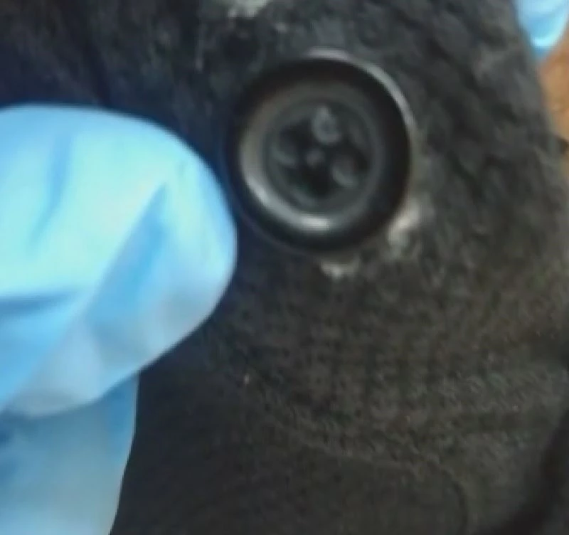 Düğme görünümlü kamera ile ehliyet sınavına girerken yakalandı
