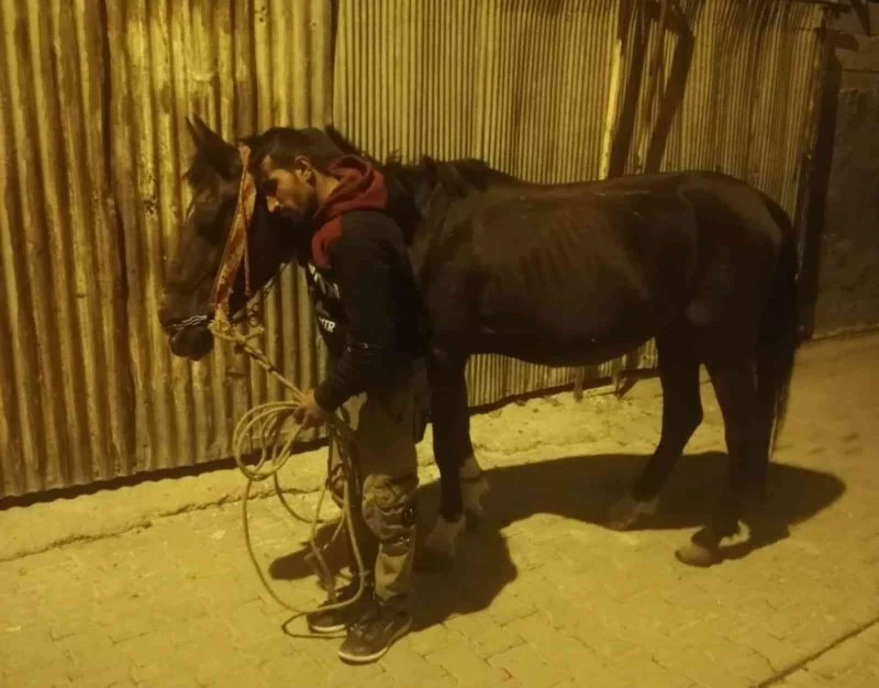 Böyle vicdansızlık görülmedi
