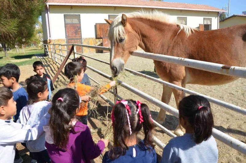 Diyarbakırlı çocuklar hipodromda keyifli anlar geçirdi
