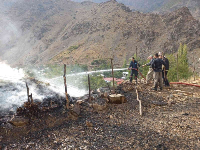 Hakkari’de 480 bağ ot yandı
