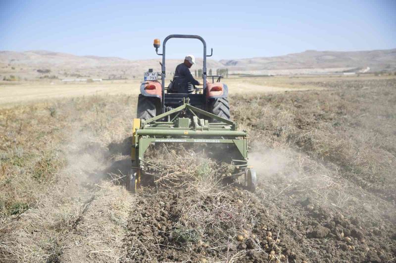 Faydalı böcek yetiştiriciliği için ekilen patatesler hasat ediliyor
