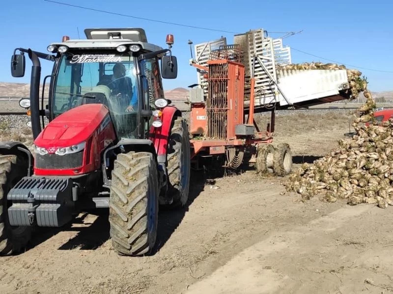 Ulaş’ta şeker pancarı rekoltesinin 1 milyon tonu geçmesi bekleniyor
