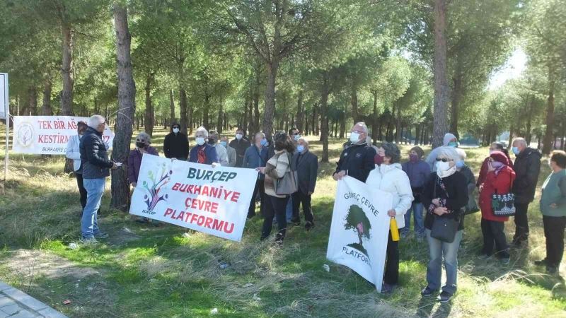 Burhaniye’de çamlığın imara açılmasına çevrecilerden tepki
