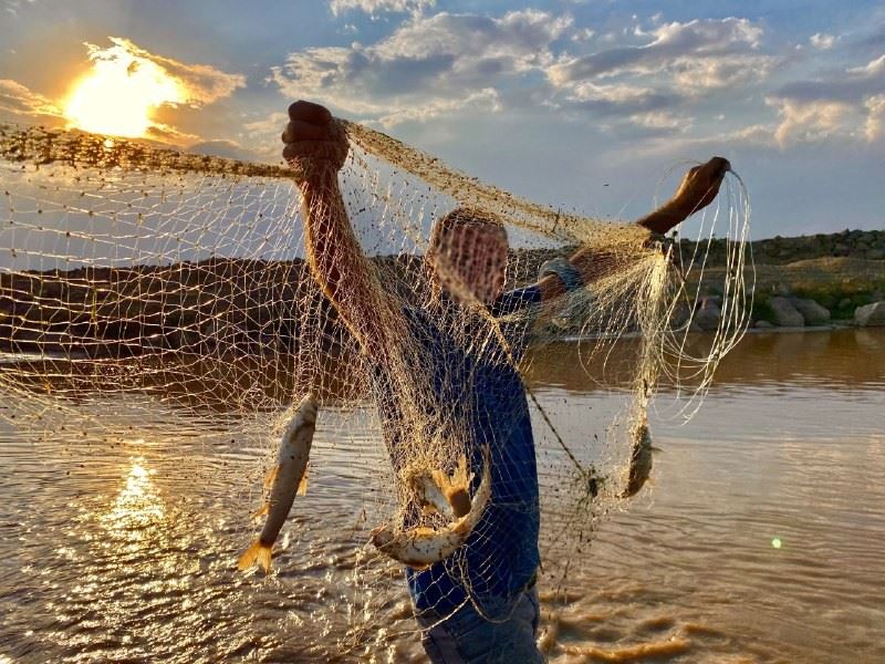 Erzincan’da balık avının yasaklandığı yerler açıklandı
