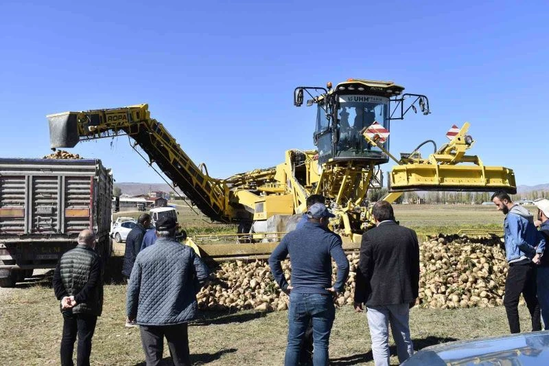 Bayburt’ta bu yıl hedeflenen şeker pancarı üretimi 72 bin 500 ton
