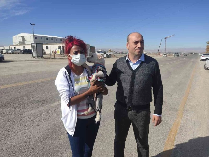 Köpekleri poşetleyip bagaja koyan çalışanın iş akdi fesih edildi
