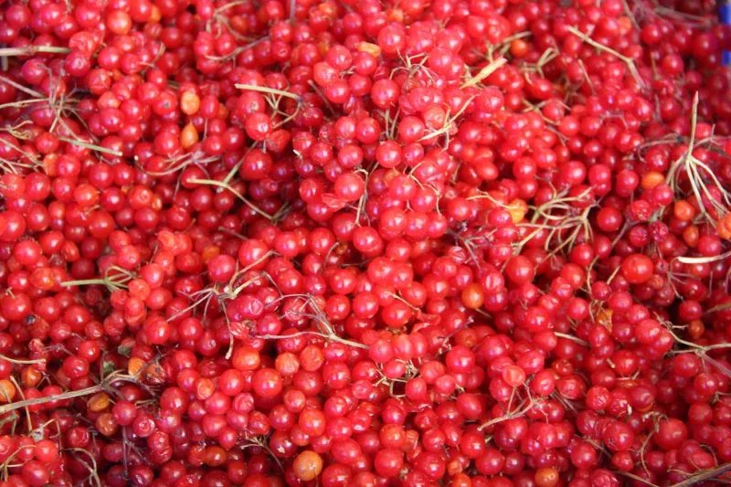 ’Gençlik iksiri’ kış öncesi rağbet görüyor
