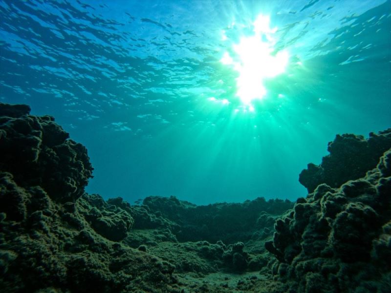 Mersin kıyılarındaki su altı kanyonları dalış tutkunlarını ağırlıyor