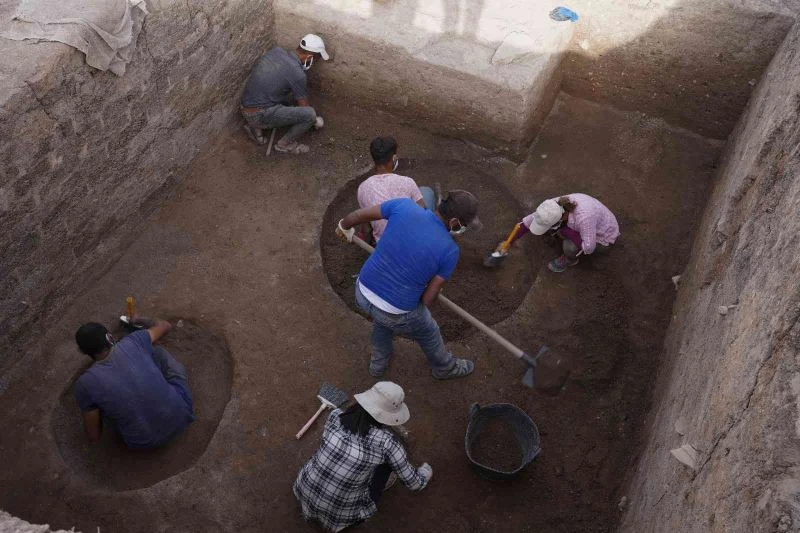 4 bin yıllık zeytine kadın eli değdi
