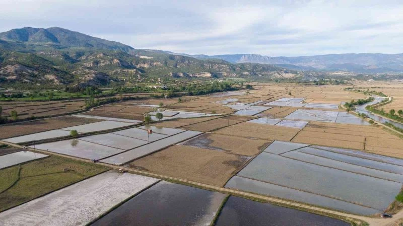 “Tarladan sofraya çeltik” belgeseli
