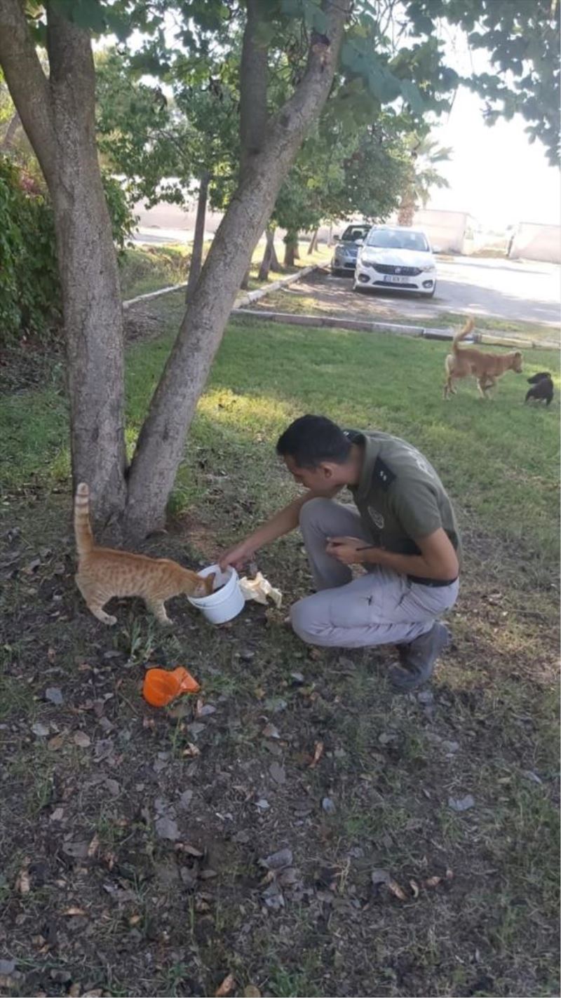 Mersin polisinden sokak hayvanlarına mama ve su desteği