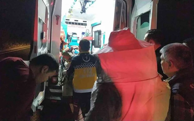 Arı kovanı taşıyan kamyonet devrildi: 2 yaralı
