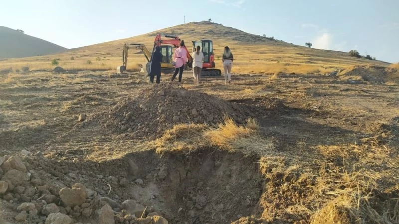 Şanlıurfa’da 63 bin fidanla yeni bir ormanlık alan oluşturuluyor

