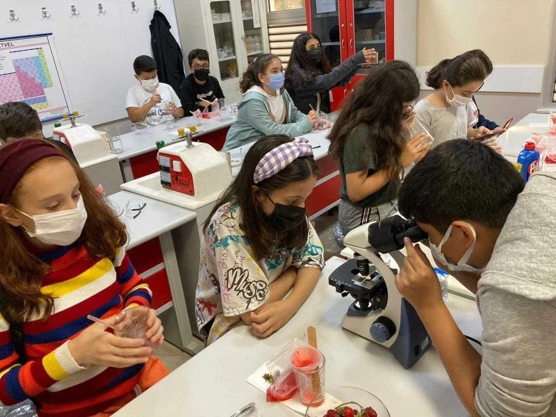 Bağcılarlı çocuklar çileğin DNA’sını çıkardılar
