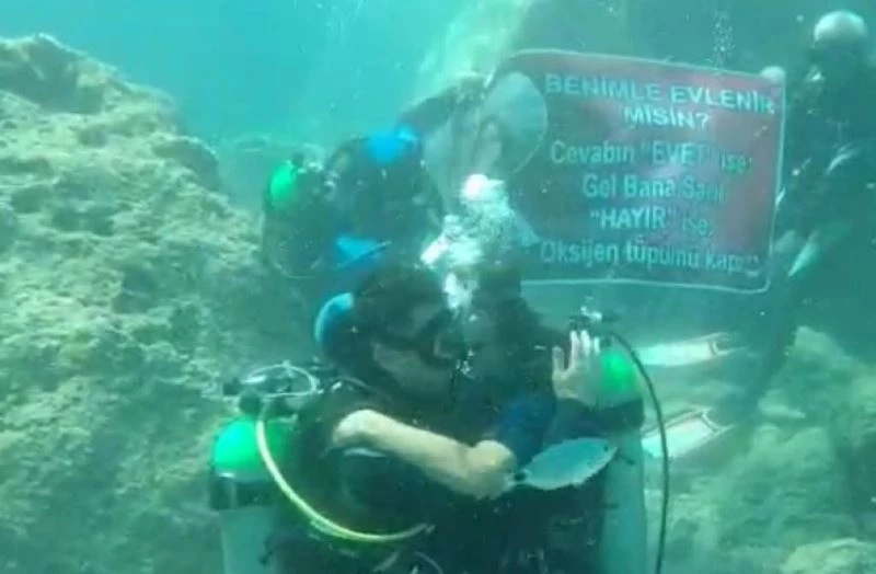 Su üstündeki yunuslardan su altında evlenme teklifi
