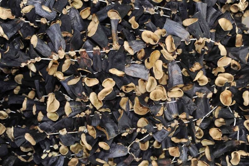 20 bin TL değerindeki kurutulmuş patlıcan çalındı, polis kıskıvrak yakaladı
