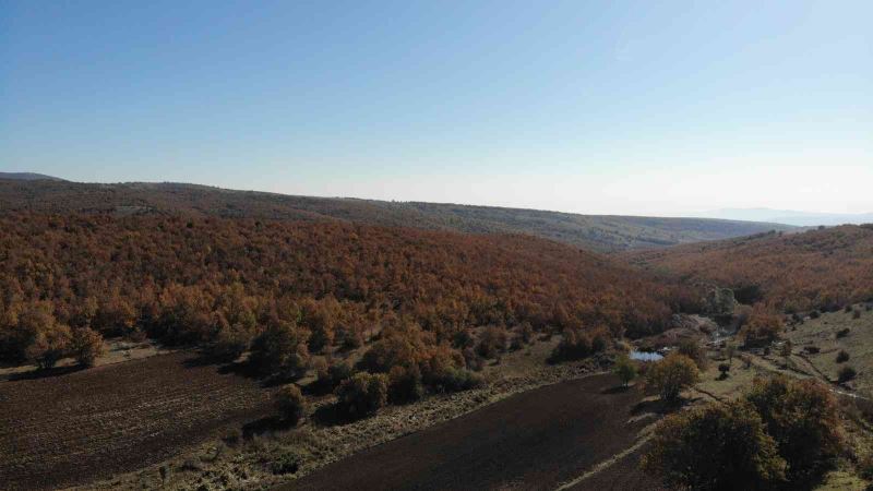 Bozdağ’dan eşsiz sonbahar görüntüleri
