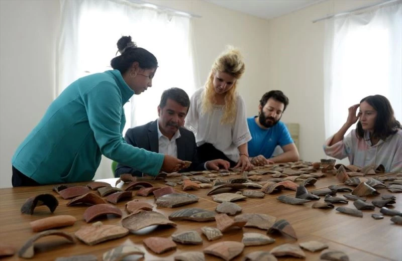 Domuztepe Höyüğü