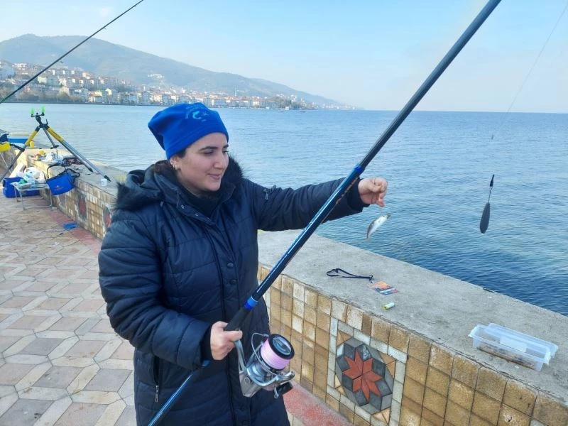 Sanayi ile anılan İzmit Körfezi adeta akvaryum gibi
