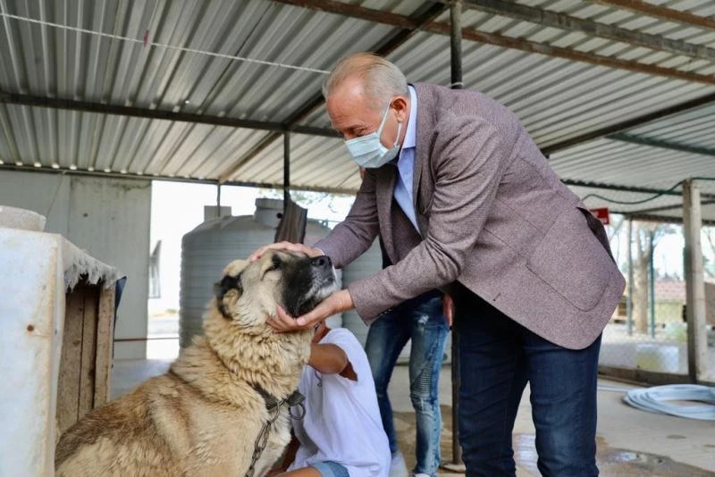 Didim’de can dostlar için ameliyathane açıldı
