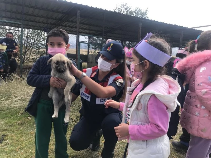 Kırıkkale’de öğrenciler hayvan barınağını ziyaret etti
