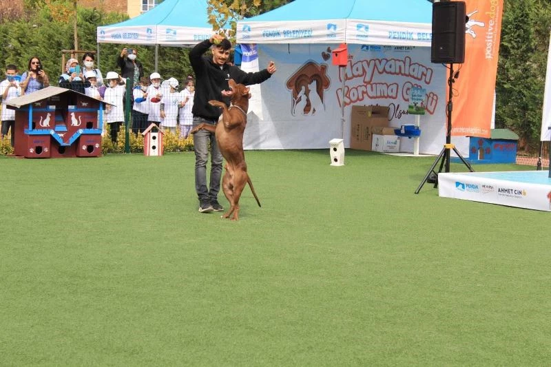 Hayvanları Koruma Gününde Pendik’te PatiFest düzenlendi
