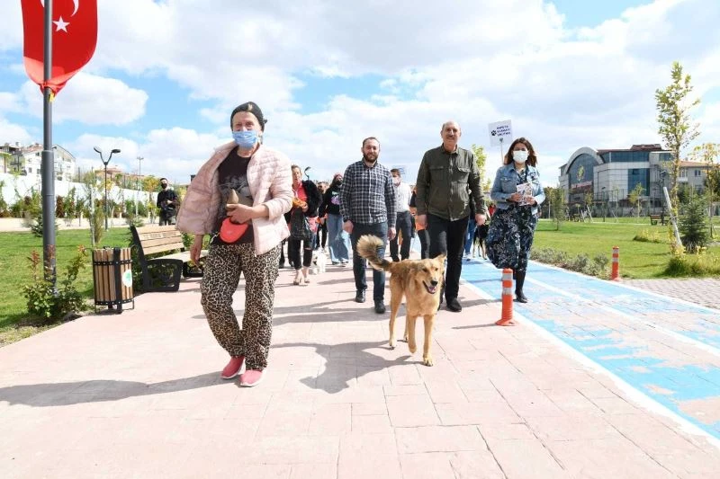 Hayvanseverler, Başkent’te hayvanlar için yürüdü
