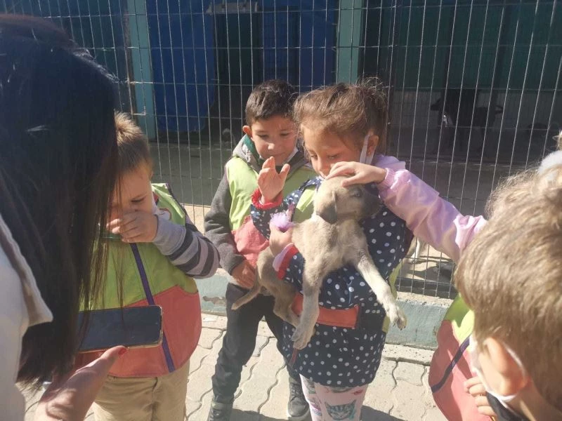 Hayvan Bakımevi genç ve minik hayvanseverleri ağırladı

