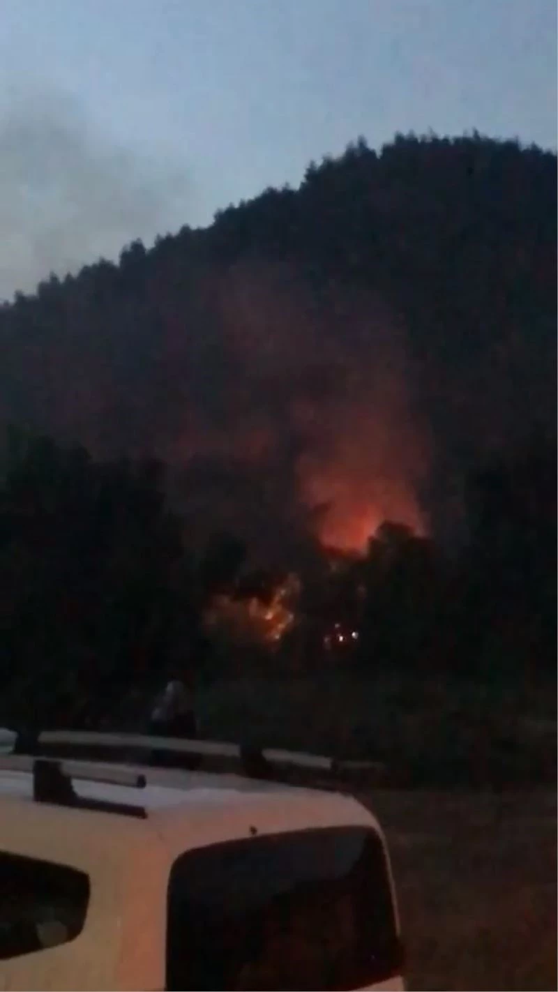 Bursa’da madde kullanırken ormanı ve barakayı yaktılar
