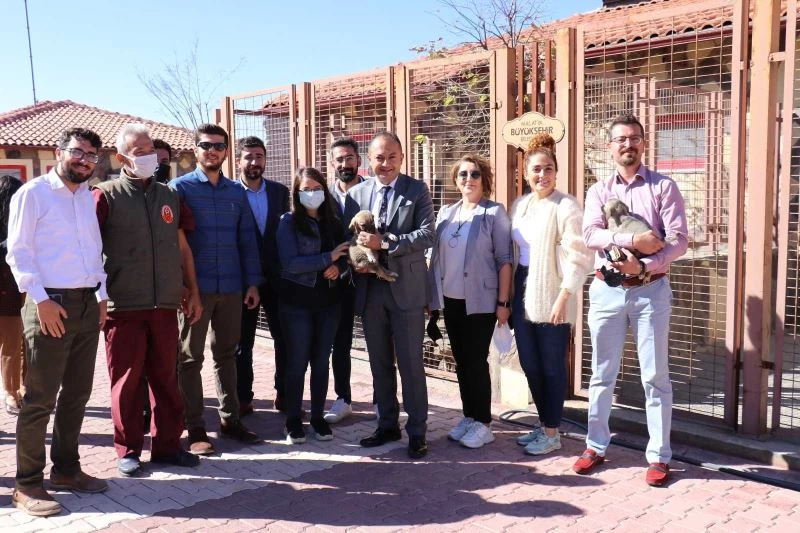 Malatya’ya tam teşekküllü hayvan hastanesi
