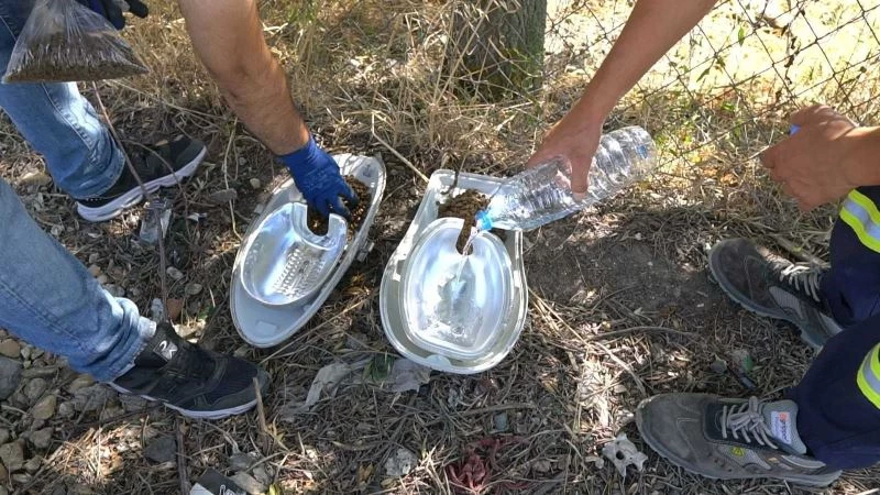 Hurda armatürler, sokak hayvanları için hayatı aydınlatıyor

